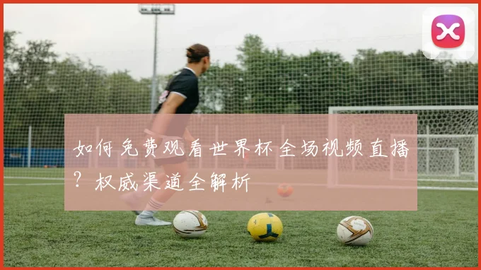 如何免费观看世界杯全场视频直播？权威渠道全解析